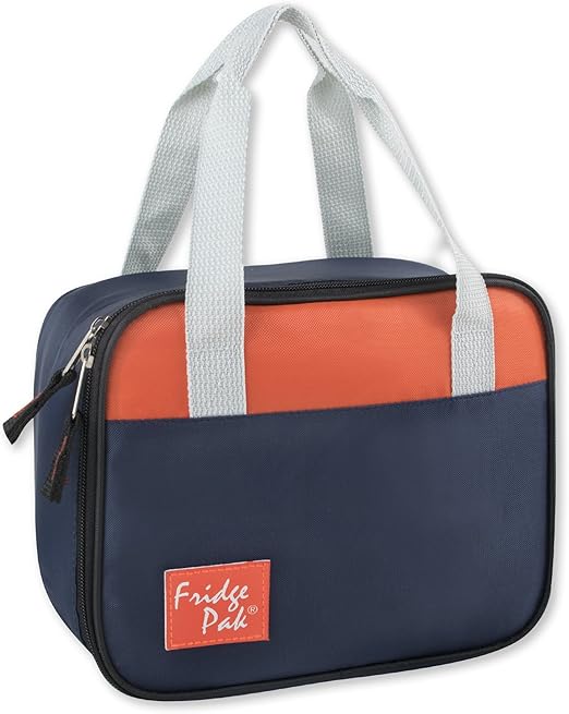 fridge to go insulated lunch box