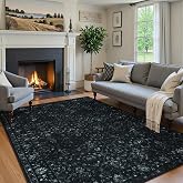 Hedlive Vintage Black Rug for Bedroom, Non Slip Washable Area Rugs 5x7 for Living Room, Ultra-Thin Soft Boho Bedroom Rug for Dining Room Office (5'x7', Black)