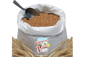 BENCH VIEW FARMS Organic Hard Red Wheat Berries - 24lbs