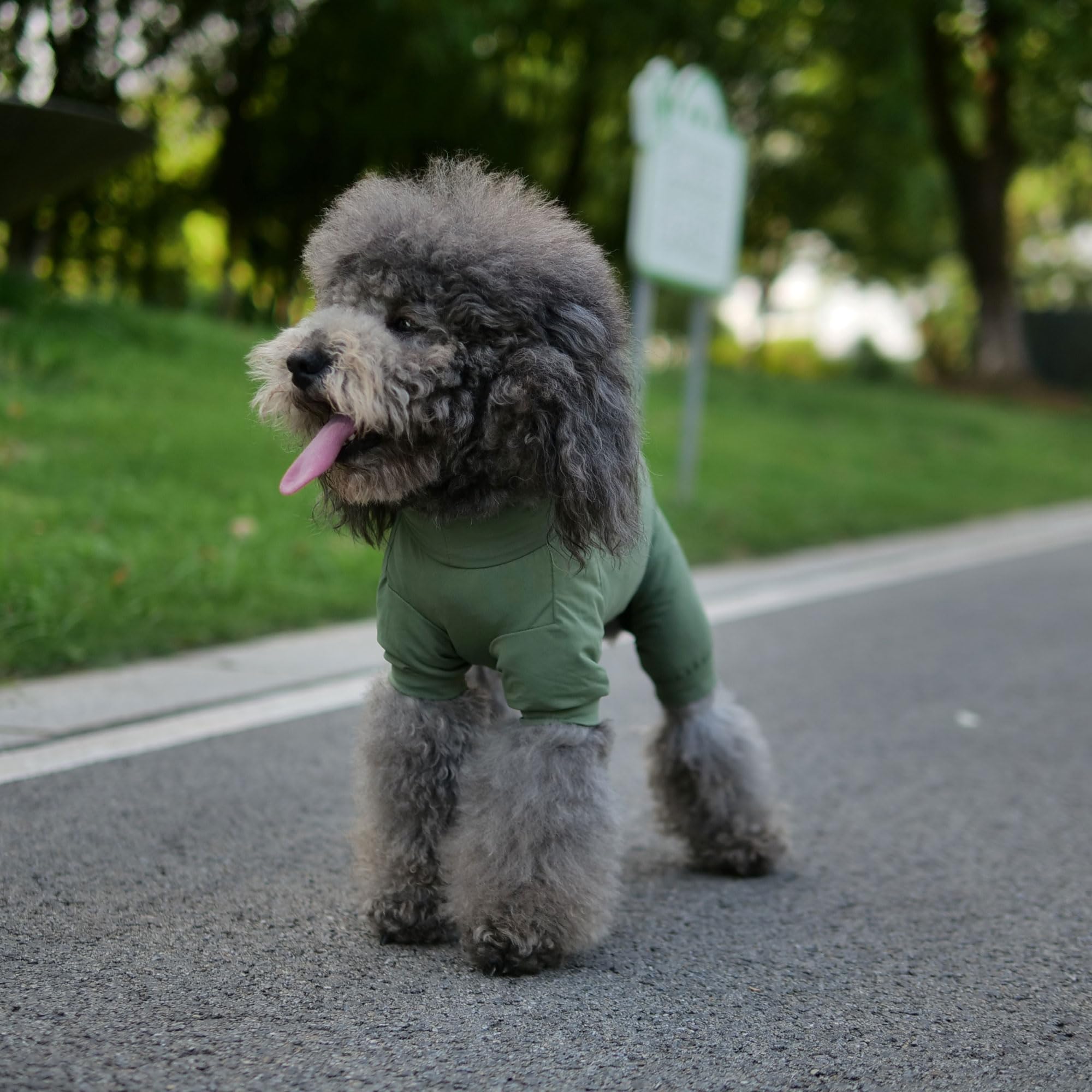 View 9