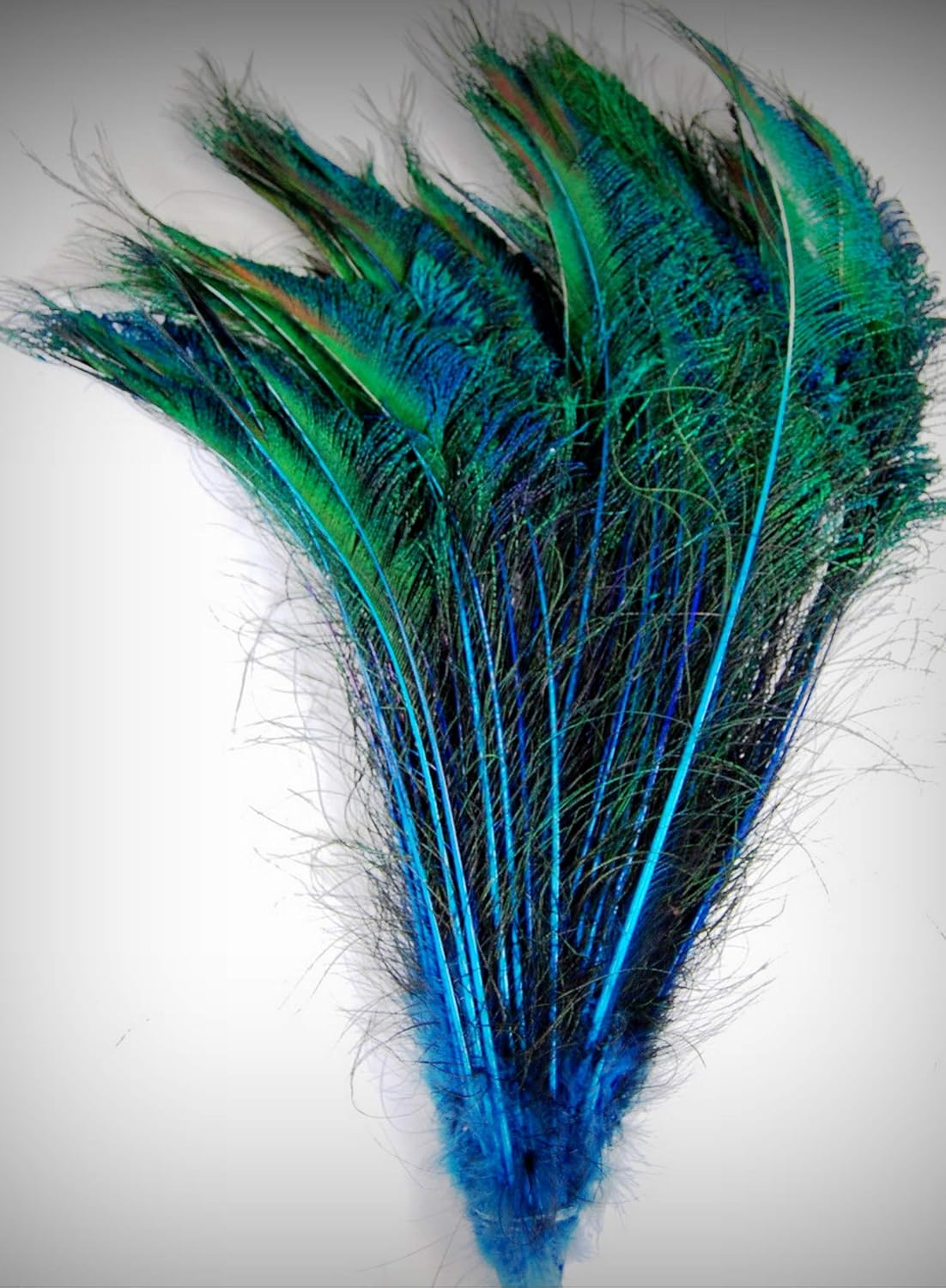 Amazon Com 1 Packet Of 100 Pcs Dyed Peacock Swords Turquoise 10