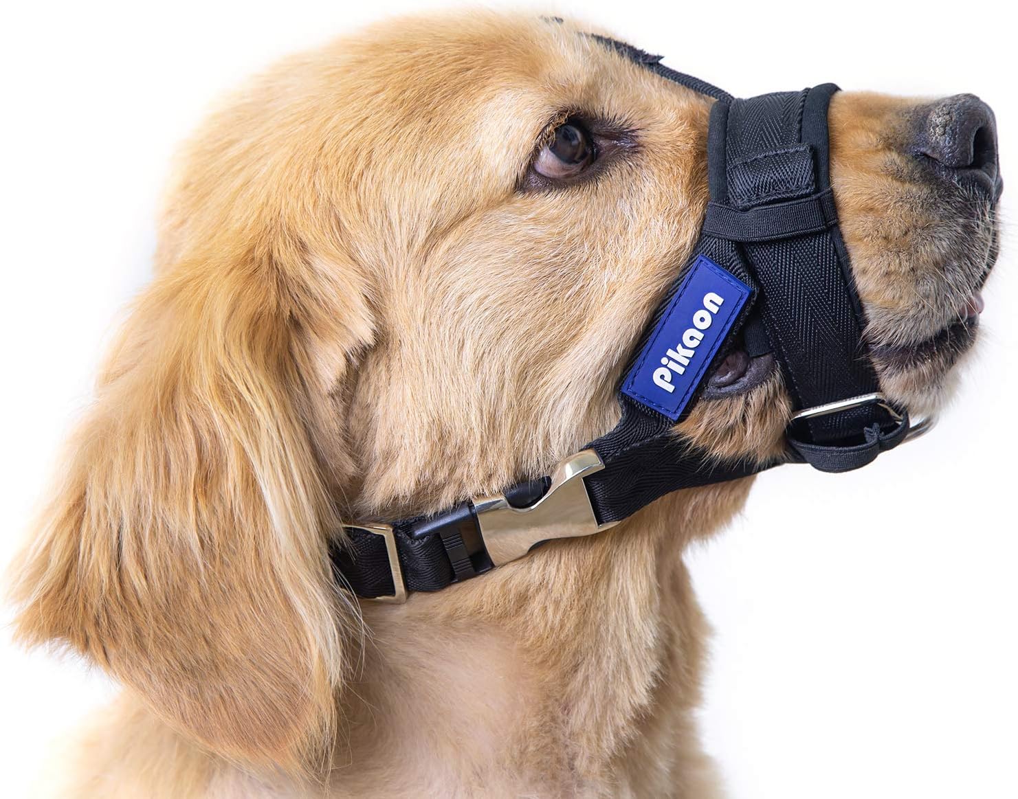 anti bite dog muzzle