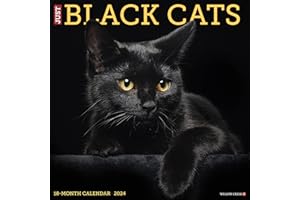 Willow Creek Press Black Cats Monthly 2024 Wall Calendar (12" x 12")