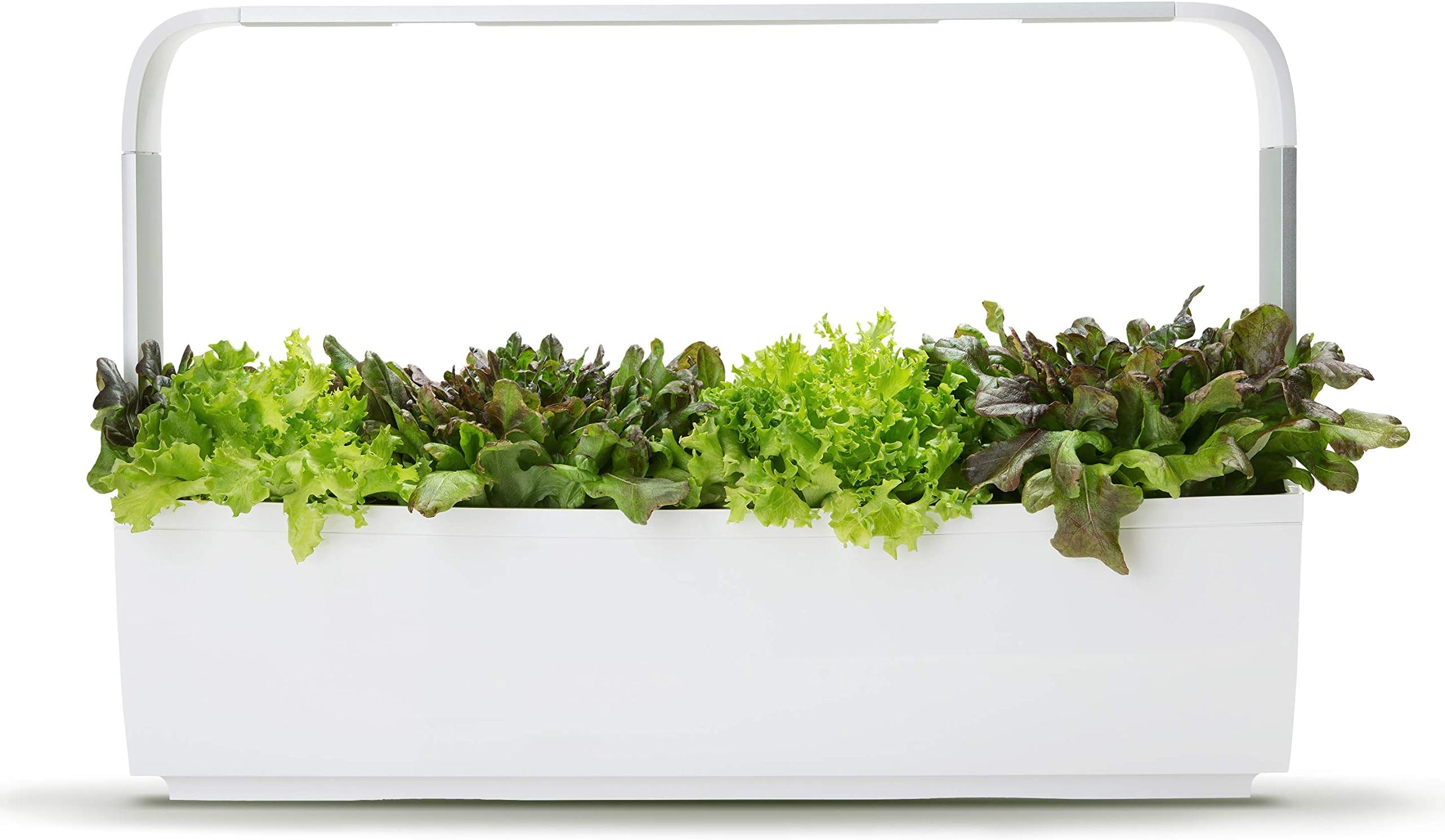 Tregren Home Indoor Kitchen Garden - Smart LED Grow Light Kit for Both Outdoor & Indoor Plants & Gardening Kits - Plant Seeds & Herbs Using Active Growing Technology & Smart Gardener App (T12)