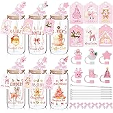 Vesici 6 Set Christmas Glasses Cups 16 oz Xmas Drink Cup with Lid Straw and Stopper Can Shaped Beer Tumbler Christmas Pink Appreciation Gifts with Cards and Bow for Women Birthday Party Favor