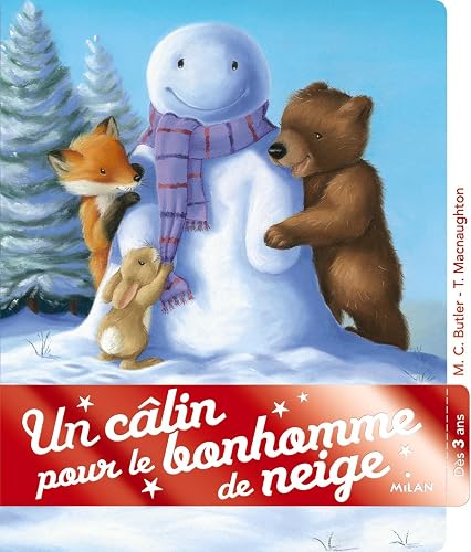 Download Un câlin pour le bonhomme de neige PDF