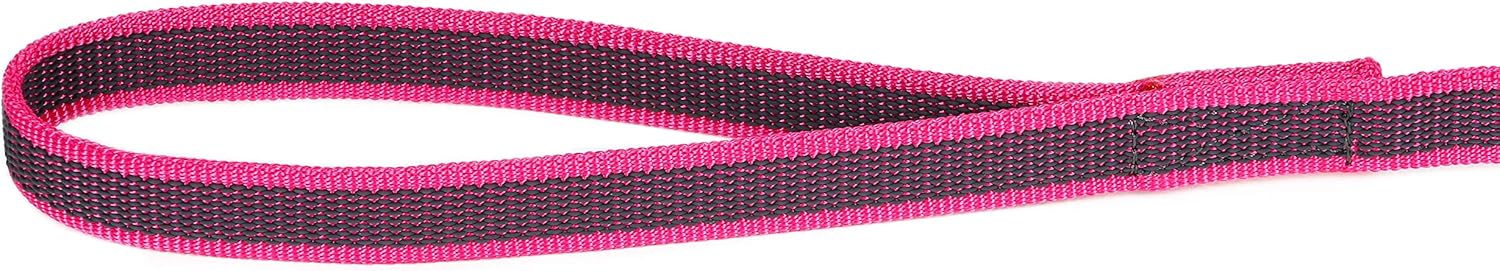 Color & Gray Super-Grip Leash with Handle, 20 mm x 2 m, Pink-Gray - Image 5