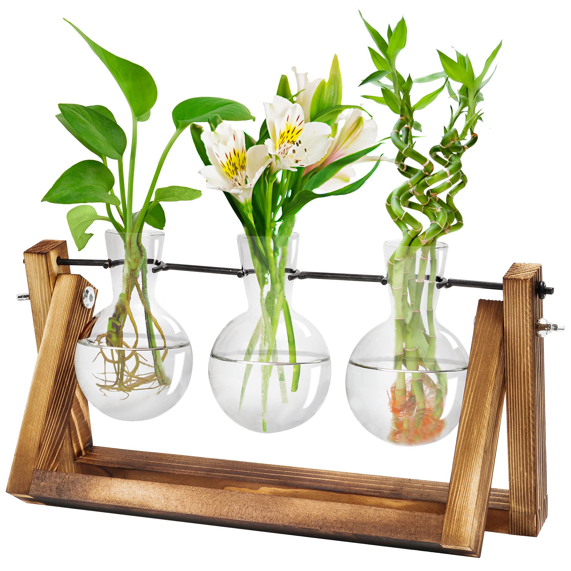 Planter Terrarium with Retro Wooden Stand Desktop Air Planter Propagation Stations Heart Bulb Glass, Hydroponics Plants for Home Garden Office Wedding Decor (3 Glass)