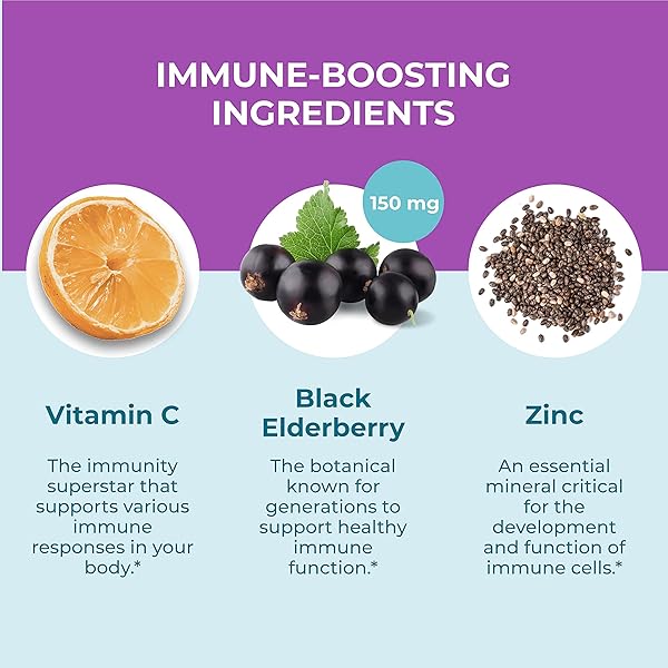 HYLAND’S ORGANIC ELDERBERRY PLUS GUMMIES, ORGANIC BLACK ELDERBERRY WITH ZINC AND VITAMIN C, IMMUNE SUPPORT SUPPLEMENT FOR ADULTS, 60 VEGAN GUMMIES (30 DAYS)