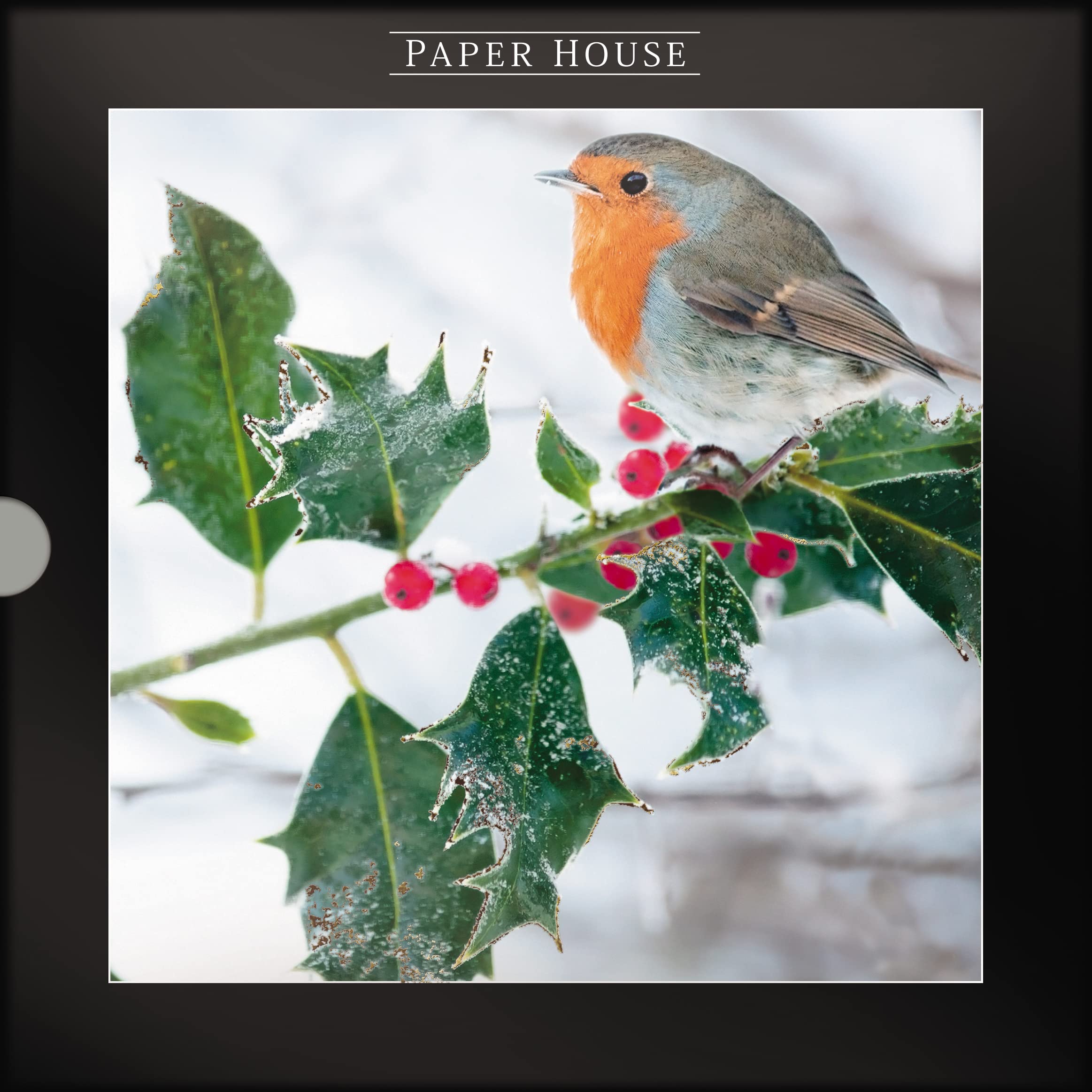 Box of 16 Robin & Berries Photographic Christmas Cards in 2 Designs Boxed Xmas XLDB0080