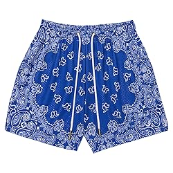 DIOTSR Mens Paisley Graphic Shorts Casual