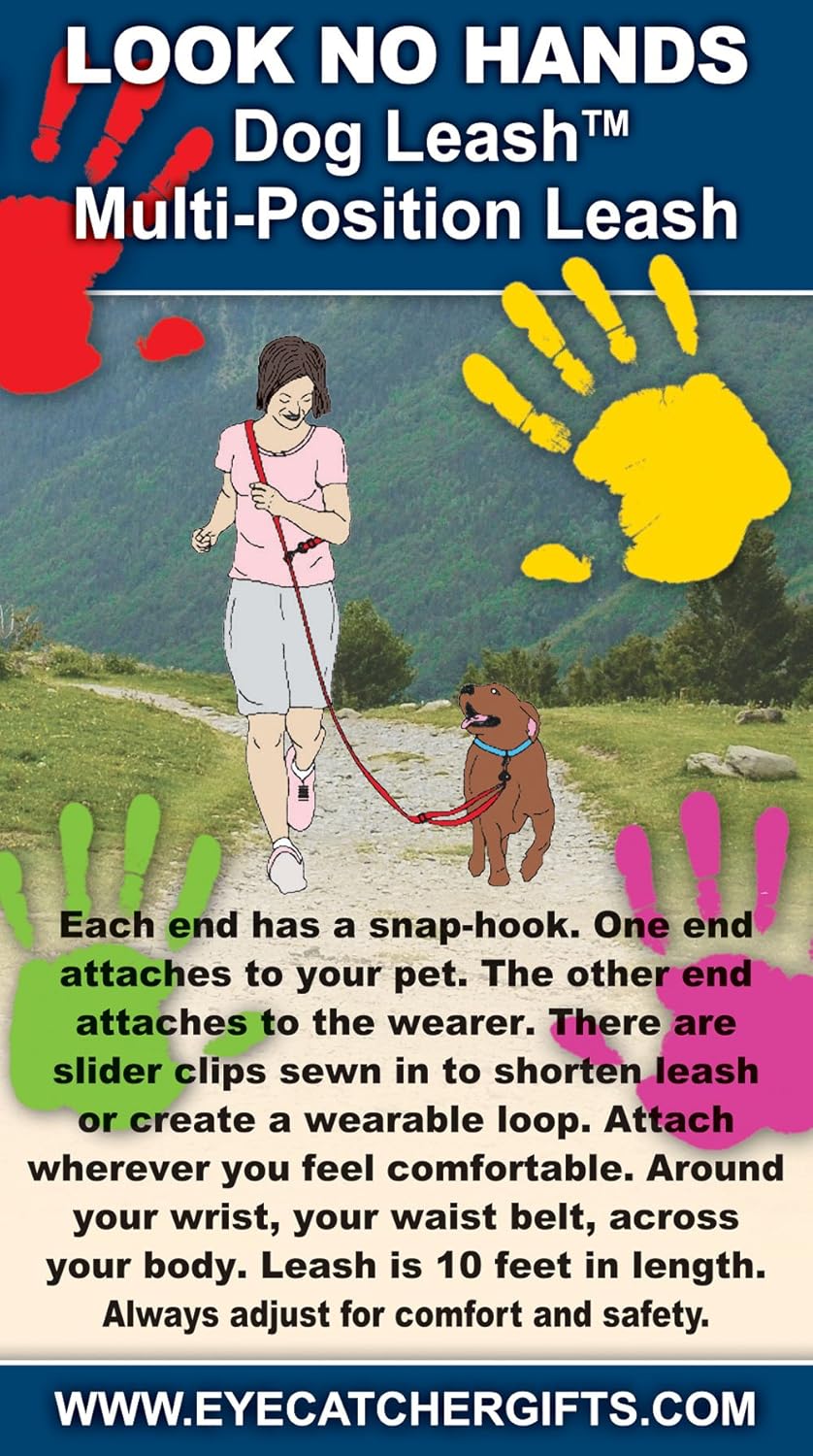 appalachian springer spaniels