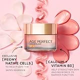 L'Oréal Paris Age Perfect Rosy SPF20 Day Cream 50ml 60+ Golden Age view 3