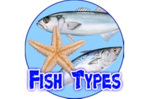 Fish Types | Goldfish Saltwater Freshwater Fish