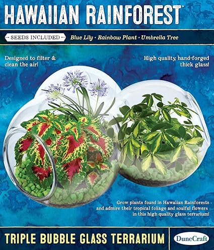 Dunecraft Hawaiian Rainforest Science Kit