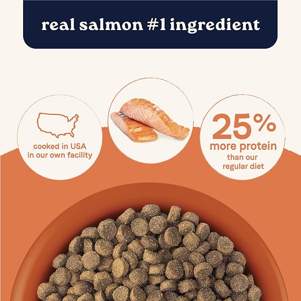 CANIDAE ALL LIFE STAGES HIGH PROTEIN DRY DOG FOOD, SALMON & ANCIENT GRAINS RECIPE, 4 LBS.
