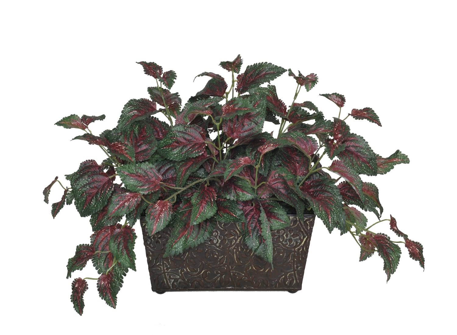 House of Silk Flowers Artificial Coleus Leaf Ledge, Mini Amazon.co.uk