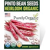 Purely Organic Pinto Bean Seeds - USDA Organic, Non-GMO, Open Pollinated, Heirloom, USA Origin (1 Packet - 20 Grams - Approx 36 Seeds)