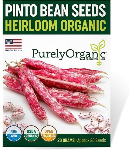 thumbnail image 2 of Slenderette Bush Bean Seeds - 500+ Non-GMO Seeds - Great Tasting & Healthy 2 of 4