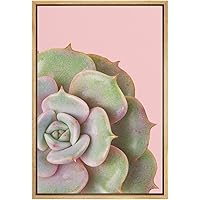 SIGNWIN Framed Canvas Wall Art Graptoveria Titubans in Pink Background Botanical Succulent Photography Realism Modern Closeup for Living Room, Bedroom, Office - 16