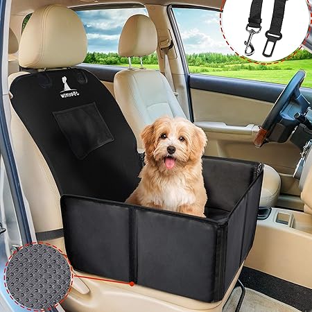 amazon siege auto chien