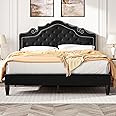 SHA CERLIN Queen Bed Frame with Adjustable Headboard/Velvet Upholstered/Diamond Button Tufted and Metal Studs/No Box Spring Needed/Wood Slat Support/Easy Assembly/Black