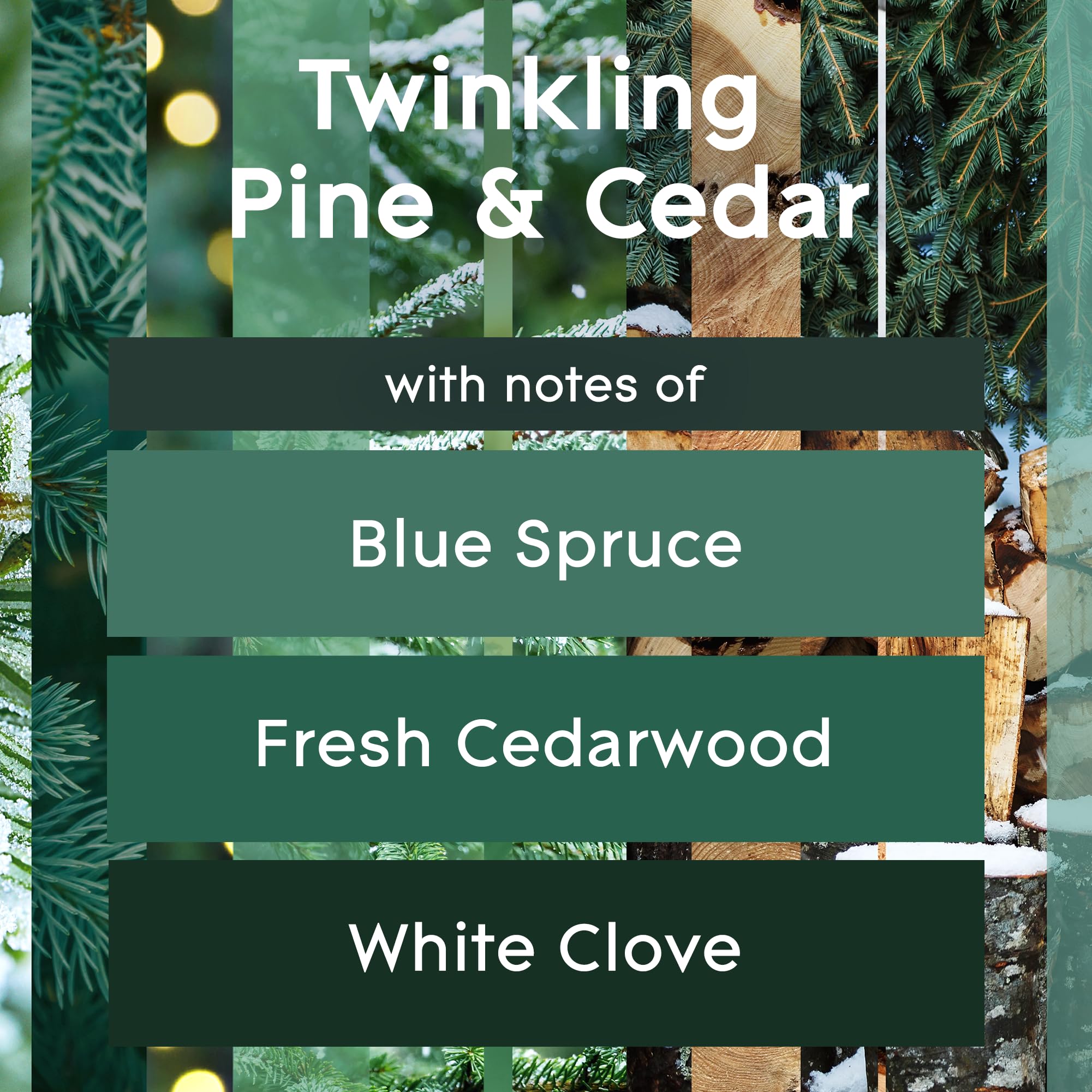Candle Twinkling Pine & Cedar, Fragrance Candle Infused with Essential Oils, Air Freshener Candle, Limited Edition Scent, 3-Wick Candle, 6.8 Oz, 3 Count