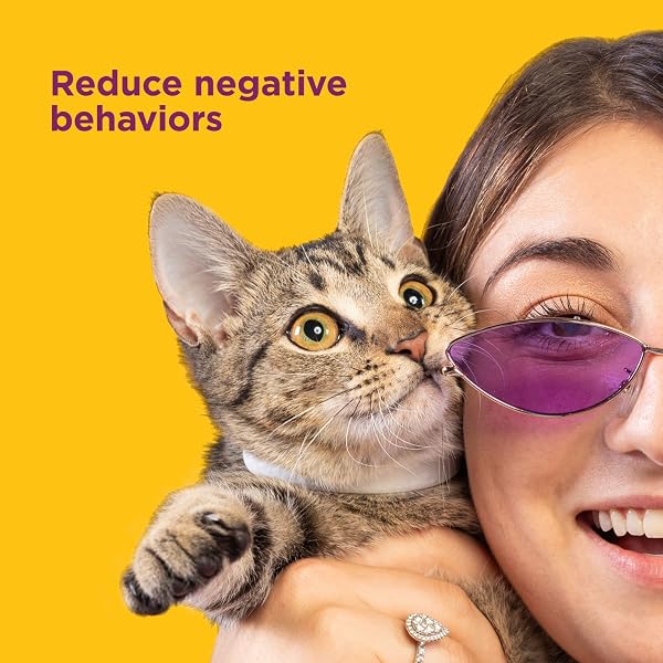 COMFORT ZONE CAT CALMING COLLAR VALUE PACK: 4 30-DAY CALMING COLLARS FOR 120 DAYS OF CALM; CAT PHEROMONES HELP ANXIETY, REDUCE STRESS, URINE MARKING, SCRATCHING; INDOOR OR OUTDOOR CATS; LONG-LASTING