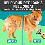 Maxpower Planet Grooming Brush Dual-Sided 9/17 Teeth Dematting Deshedding view 9