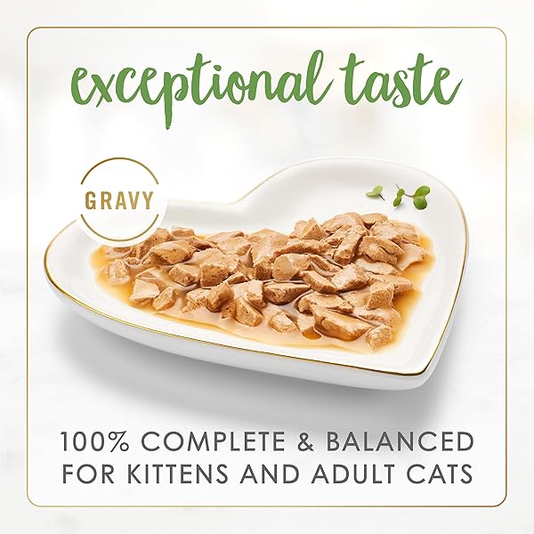 PURINA FANCY FEAST GRAVY LOVERS SALMON FEAST GRILLED GOURMET CAT FOOD IN WET CAT FOOD GRAVY – (PACK OF 24) 3 OZ. CANS