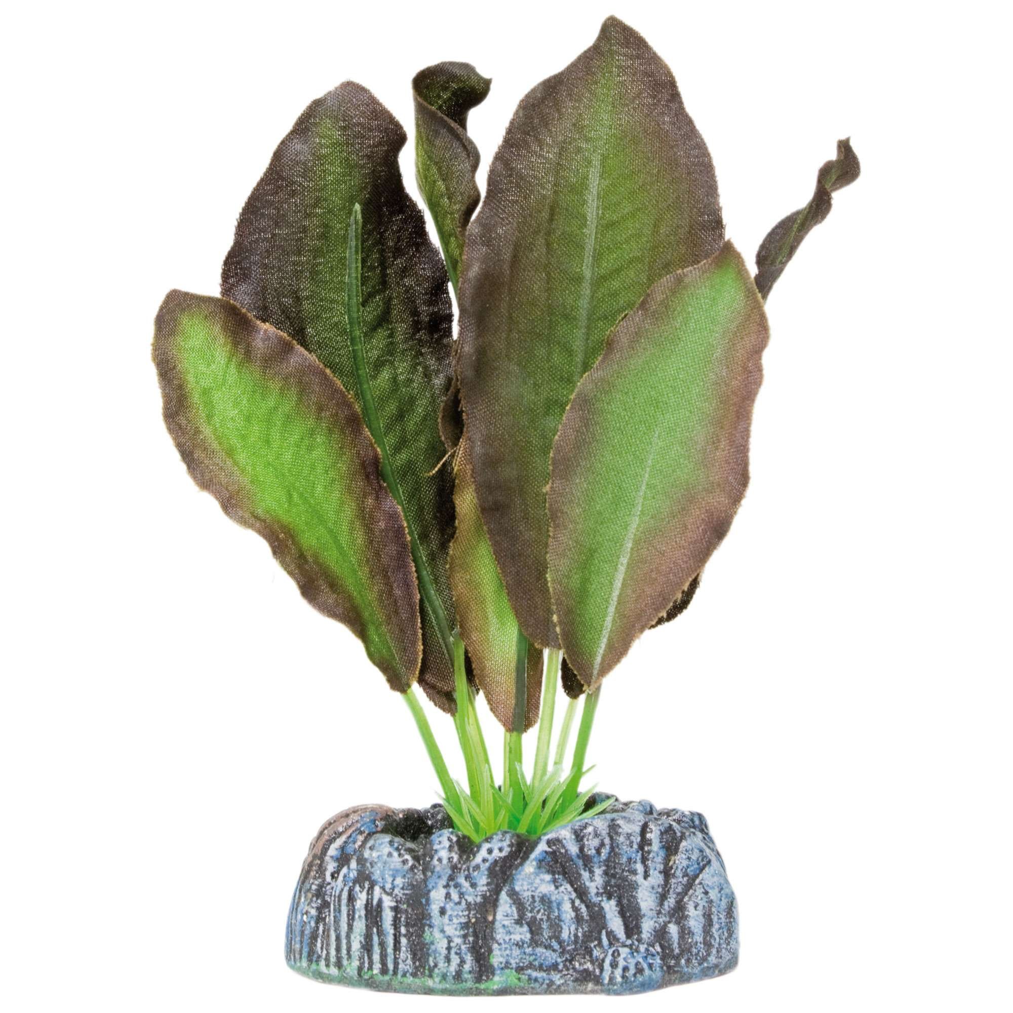 Ocean AP1107 Silk Echinodorus