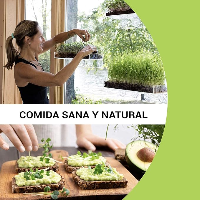 Garden Pocket Bandeja Large Brotes Germinados Bandeja Sustrato de ...