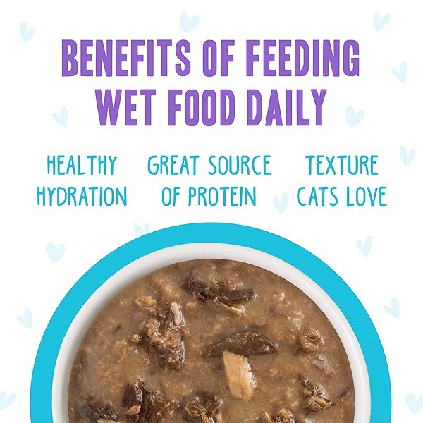 WERUVA B.F.F. OMG – BEST FELINE FRIEND OH MY GRAVY!, VARIETY PACK, POTLUCK O’ POUCHES, WET CAT FOOD, 2.8OZ POUCHES (PACK OF 12)