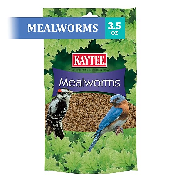 KAYTEE WILD BIRD FOOD MEALWORMS FOR BLUEBIRDS, WRENS, ROBINS, CHICKADEES, WOODPECKERS, CARDINALS & CHICKENS, 3.5 OUNCE
