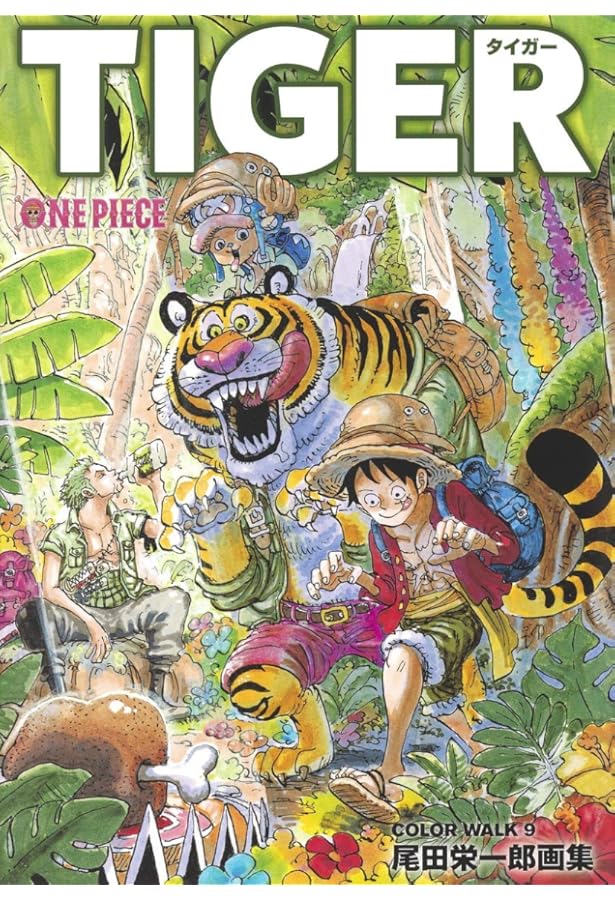 Amazon.com: ONEPIECEイラスト集 COLORWALK 10 DRAGON (Japanese
