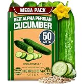 HOME GROWN Persian Cucumber Seeds, 50+ Seeds, Cucumis sativus | High Germination, Heirloom, Non-GMO | 50+ Seeds | Beit Alpha Variety | Sweet Thin Skin | Burpless Snacking | Fast Growing