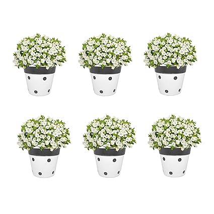 Pepper Agro 5 Inch Round Metal Flower Pot | Black Dotted Design Plant Planter | Material- Cast Iron | Set 0f 6