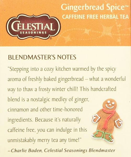 CELESTIAL SEASONINGS HOLIDAY TEA GINGERBREAD SPICE HERB TEA, 20-COUNT (PACK OF 6)
