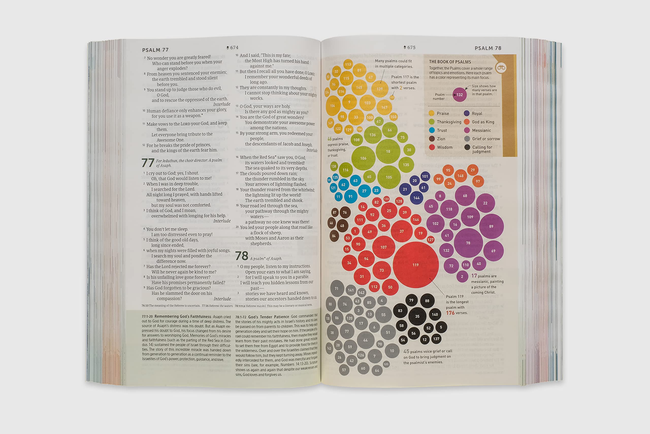 NLT Student Life Application Study Bible, Filament Enabled (Softcover, Red Letter)