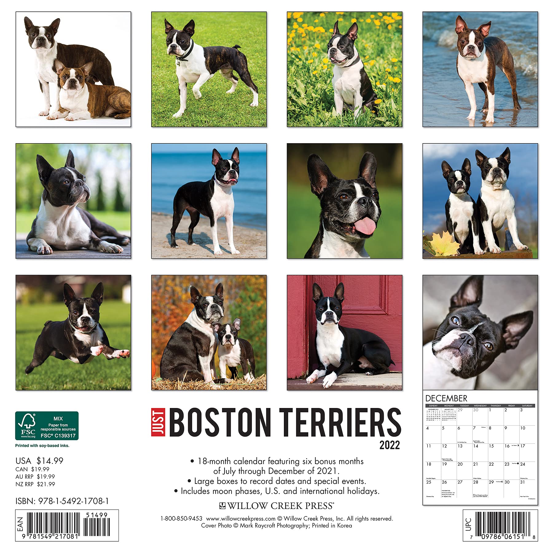 Boston Events Calendar 2022 Boston Terriers 2022 Wall Calendar: Amazon.co.uk: Willow Creek:  9781549217081: Books