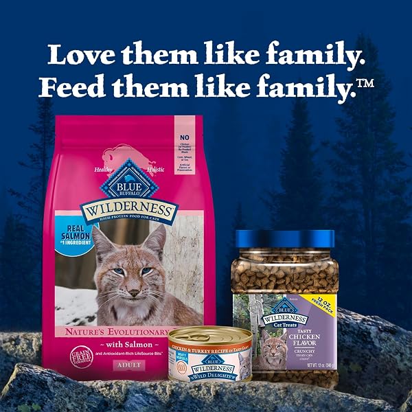 BLUE BUFFALO WILDERNESS GRAIN FREE NATURAL HIGH PROTEIN SALMON ADULT DRY CAT FOOD, 4 LBS.