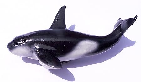 Killer ballena Mamífero Mar Pescado, Tailandia 3d resina de alta ...