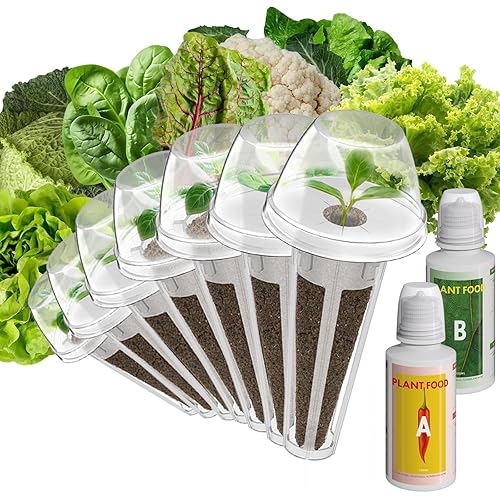 inbloom Salad Green Seed Pod Kit for Hydroponics Growing System, 7 Pods (350+ Seeds with American Fast/Paris Island/Buttercrunch Lettuce, Swiss Chard, Spinach, Cauliflower, and Wild Cabbage)