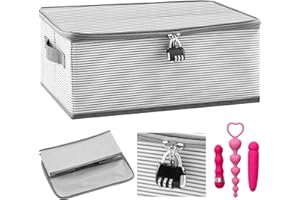 Briwooody Discreet Lockable Toy Bag Storage Organizer Toy Bag Storage Bins Case with Zipper Lid 15 x 10 x 5.9 Inches for Women and Men Clothes Container(Gray Stripes)