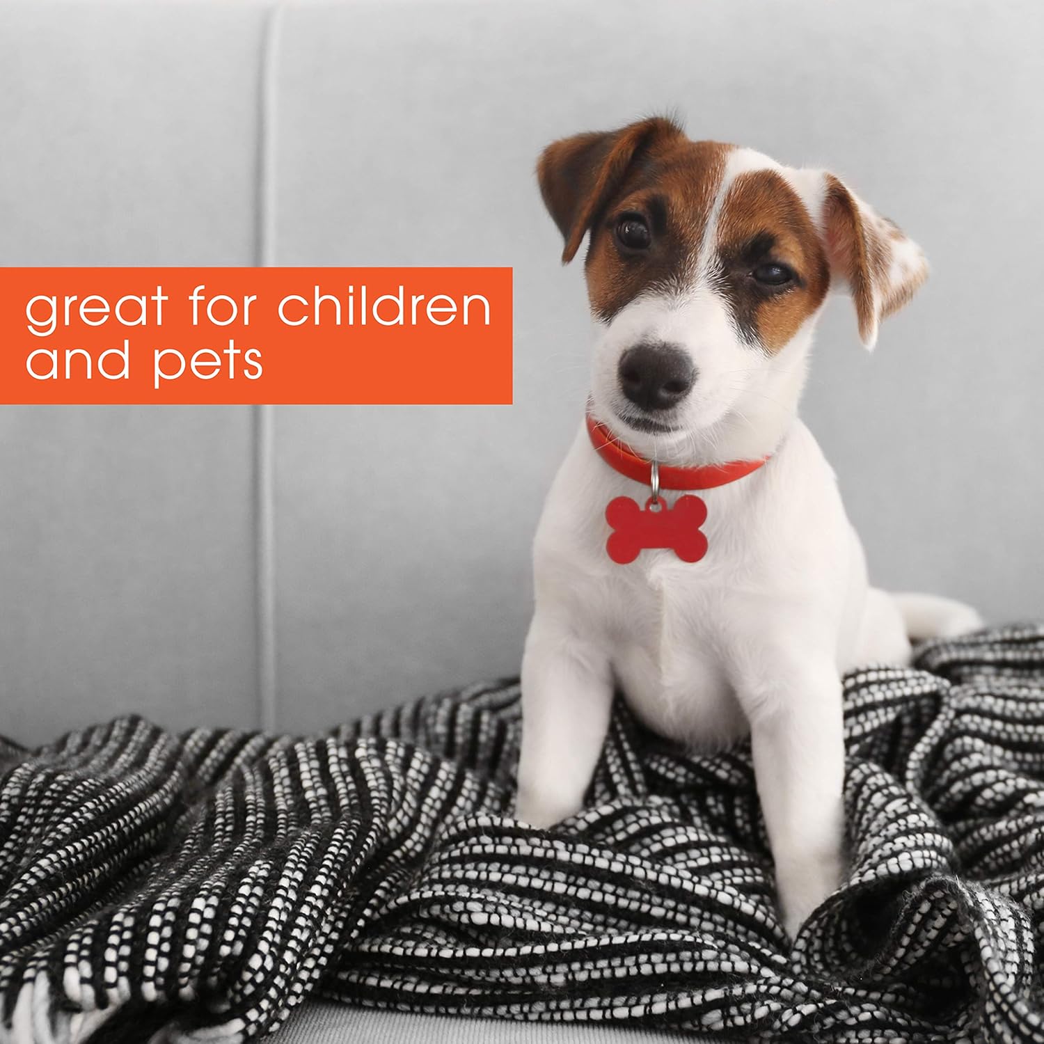 summer essex craft safety gate