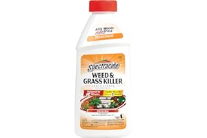 Spectracide Weed And Grass Killer Concentrate 16 Ounces, Use On Patios, Walkways And Driveways