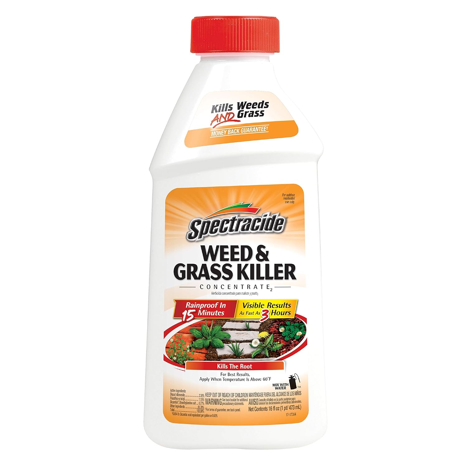 Spectracide Weed & Grass Killer Concentrate2, 16Ounce Amazon.co.uk