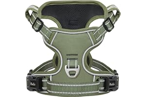 HEELE Dog Harness, Dog Harness for Small Medium Large Dogs No Pull Adjustable Padded Reflective Harness with Handle for Walking Training, Green, L