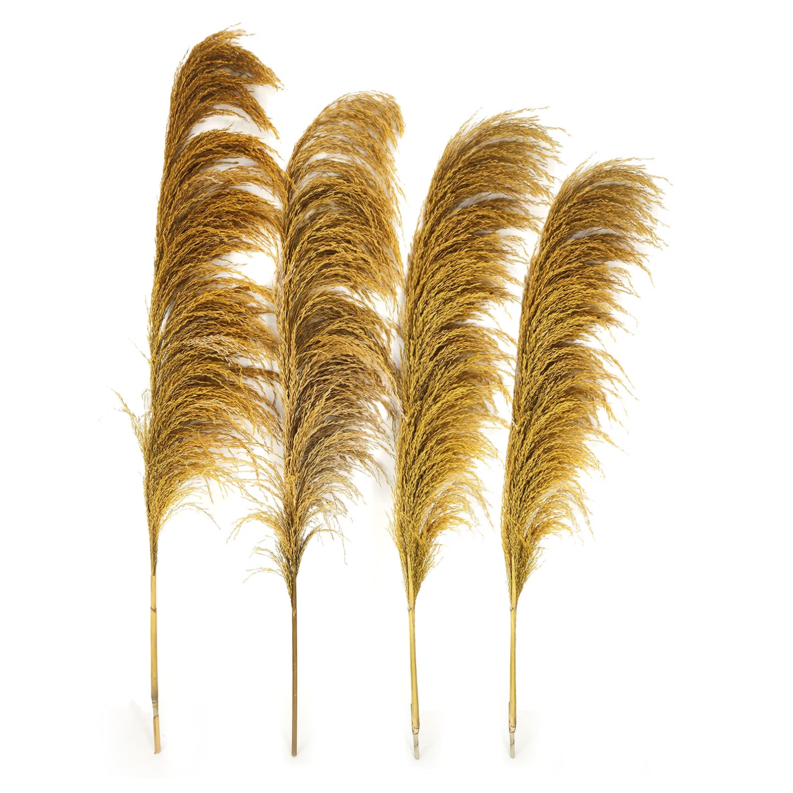 Gold Pampas Grass Decor Tall,Large Natural Dried Pampas Floral Fluffy,Long Feather Flowers for Boho Wedding Arangement Bedroom Living Room Decorations (gold, 8pcs 31.5"/80cm)