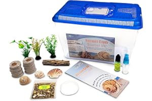 NATURE GIFT STORE 2 Live Crabs Ship with Order+Large Hermit Crab Tank 12"x8"x6" Starter Kit with Accessories: Food, Shells, Climbing Toys and More